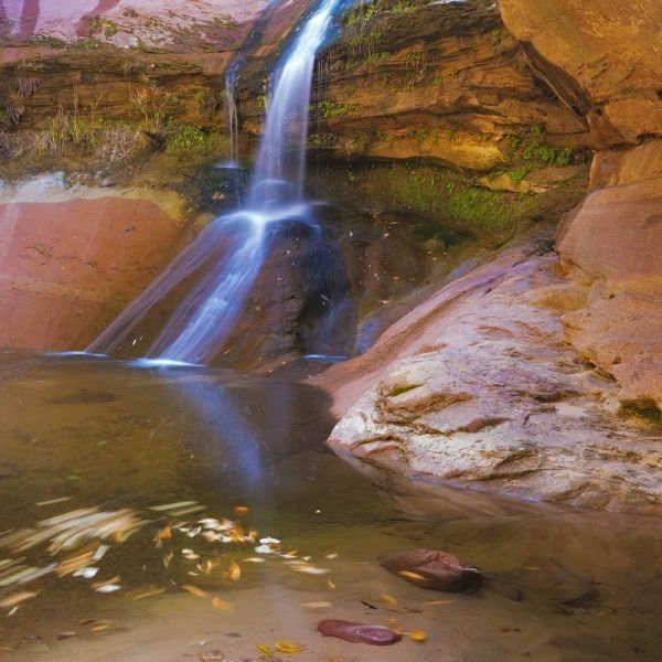 USA, Utah, Zion NP Small waterfall forms pool